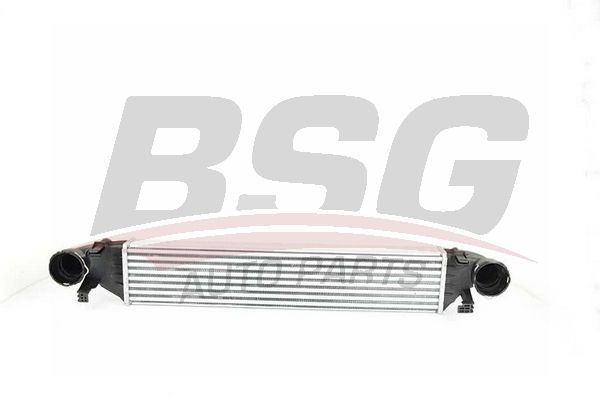 BSG Интеркулер BSG 60-535-001