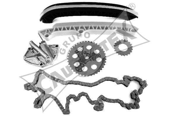 CAUTEX Комплект цели привода распредвала 462410