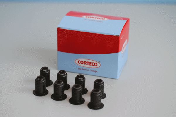 CORTECO Комплект прокладок, стержень клапана 19036011