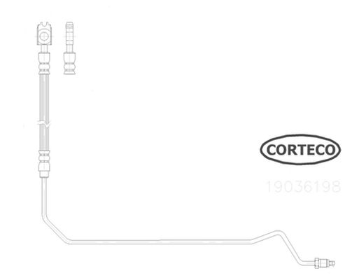 CORTECO Тормозной шланг 19036198