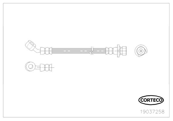 CORTECO Тормозной шланг 19037258