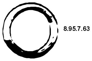 EBERSPÄCHER Уплотнительное кольцо, труба выхлопного газа 8.95.7.63