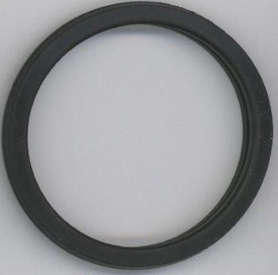 ELRING Уплотнительное кольцо, термостат 027.450