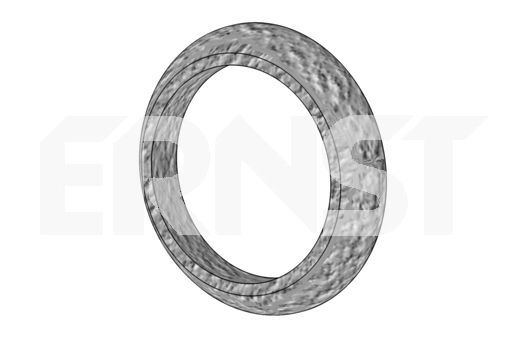 ERNST Уплотнительное кольцо, труба выхлопного газа 491969