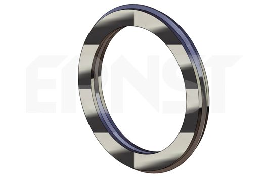 ERNST Уплотнительное кольцо, труба выхлопного газа 493123