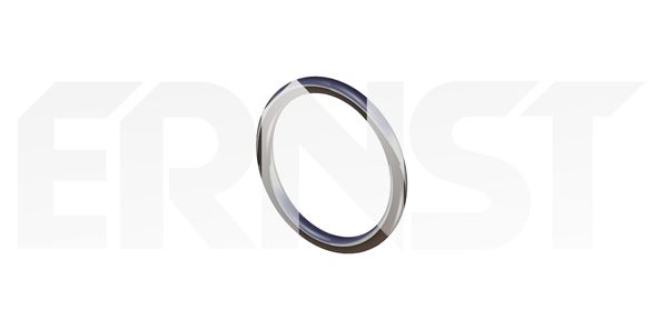 ERNST Уплотнительное кольцо, труба выхлопного газа 493789