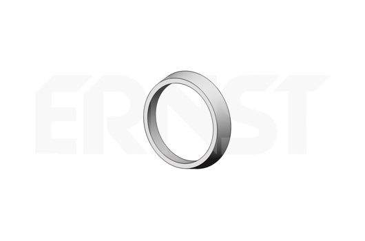 ERNST Уплотнительное кольцо, труба выхлопного газа 493918