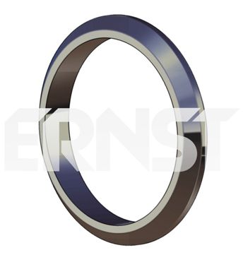 ERNST Уплотнительное кольцо, труба выхлопного газа 493925