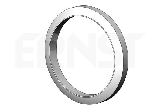 ERNST Уплотнительное кольцо, труба выхлопного газа 495561