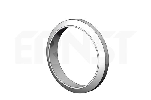ERNST Уплотнительное кольцо, труба выхлопного газа 495578