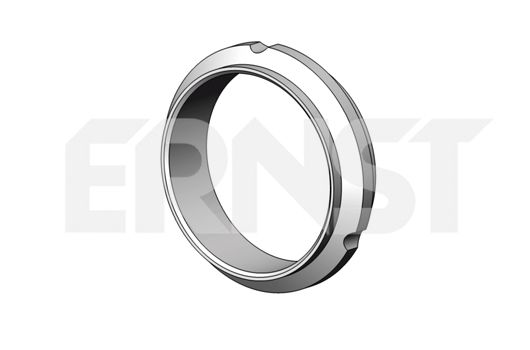 ERNST Уплотнительное кольцо, труба выхлопного газа 497473