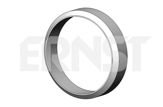 ERNST Уплотнительное кольцо, труба выхлопного газа 497497