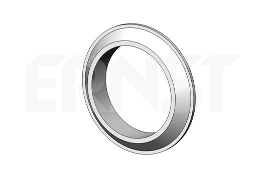 ERNST Уплотнительное кольцо, труба выхлопного газа 498661