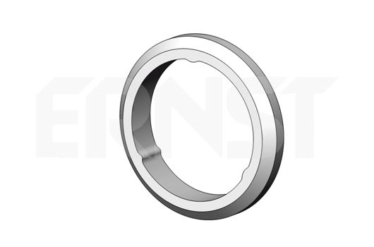 ERNST Уплотнительное кольцо, труба выхлопного газа 498678