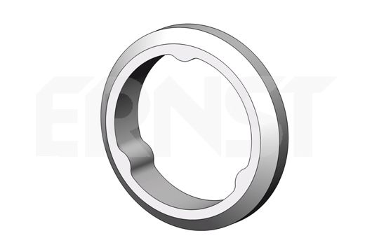 ERNST Уплотнительное кольцо, труба выхлопного газа 498692