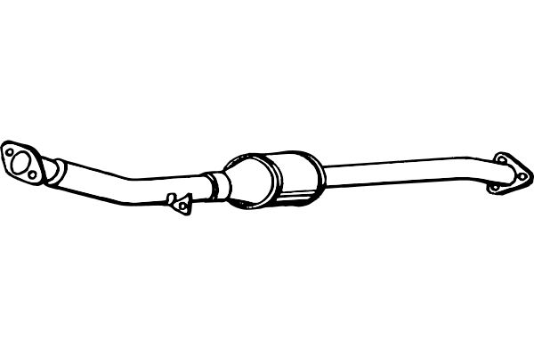 FENNO Katalizators P204DCAT