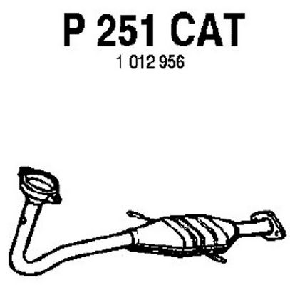 FENNO Katalizators P251CAT