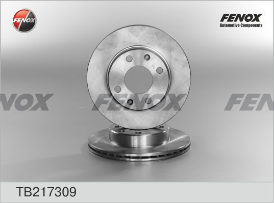 FENOX Bremžu diski TB217309
