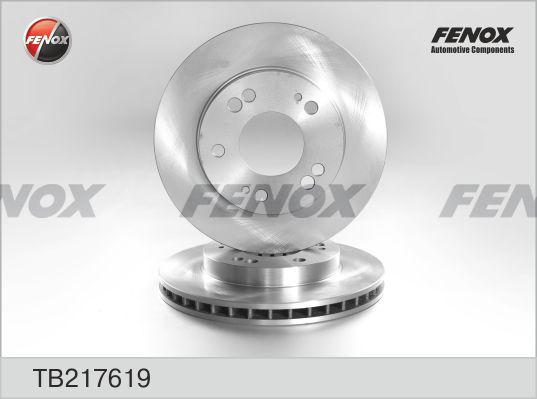 FENOX Bremžu diski TB217619