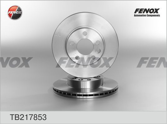FENOX Bremžu diski TB217853