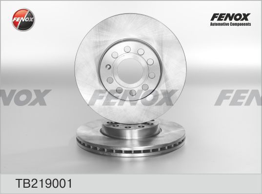 FENOX Bremžu diski TB219001
