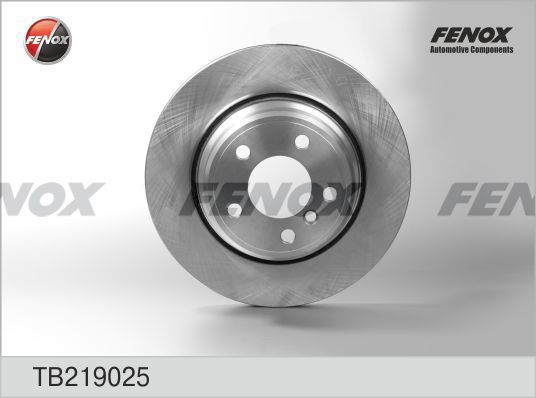 FENOX Bremžu diski TB219025