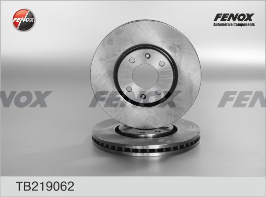 FENOX Bremžu diski TB219062