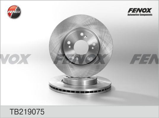 FENOX Bremžu diski TB219075