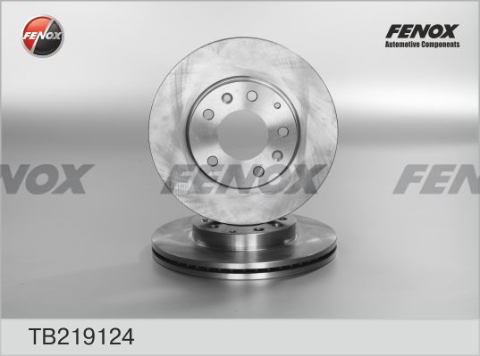 FENOX Bremžu diski TB219124