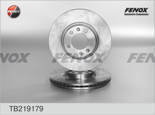 FENOX Bremžu diski TB219179