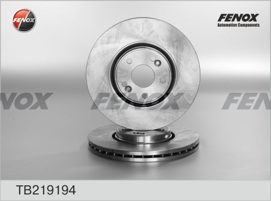 FENOX Bremžu diski TB219194