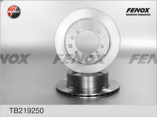 FENOX Bremžu diski TB219250