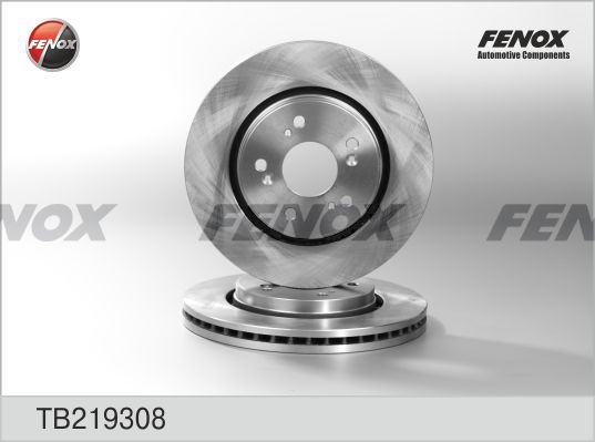 FENOX Bremžu diski TB219308