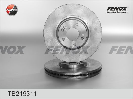 FENOX Bremžu diski TB219311