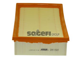 FRAM Gaisa filtrs CA11501
