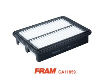 FRAM Gaisa filtrs CA11859