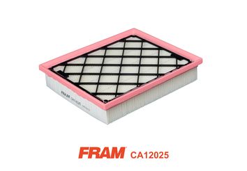 FRAM Gaisa filtrs CA12025