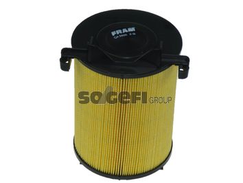 FRAM Воздушный фильтр CA9800