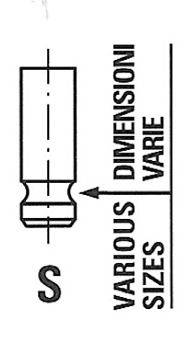 FRECCIA Izplūdes vārsts R6315/RNT