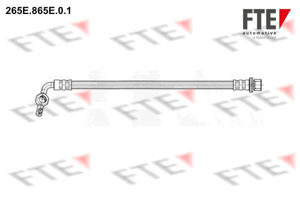 FTE Тормозной шланг 265E.865E.0.1