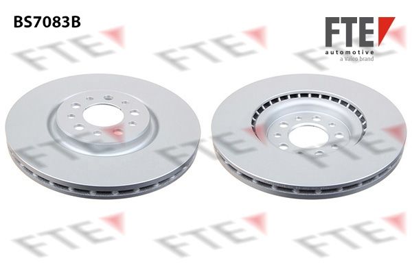 FTE Bremžu diski 9081074