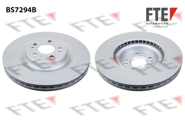 FTE Bremžu diski 9081108