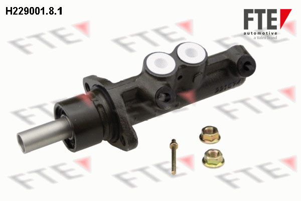 FTE Galvenais bremžu cilindrs H229001.8.1