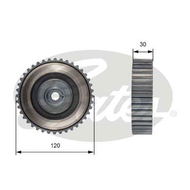 GATES Zobrats, Sadales vārpsta T41255