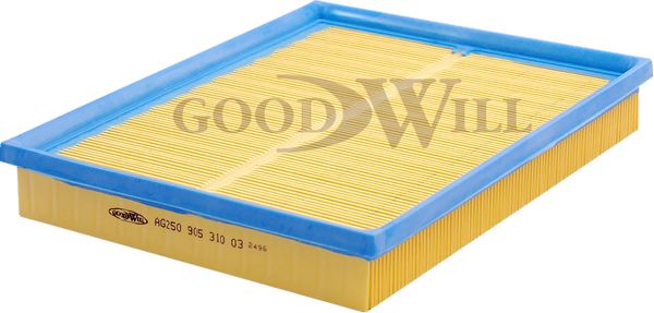 GOODWILL Gaisa filtrs AG 250