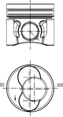 IPSA Virzulis PI005700