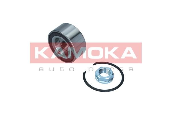 KAMOKA Комплект подшипника ступицы колеса 5600119
