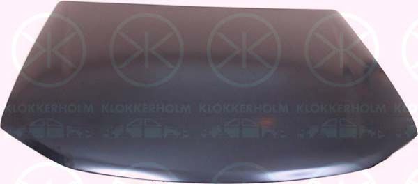 KLOKKERHOLM Капот двигателя 5536281A1