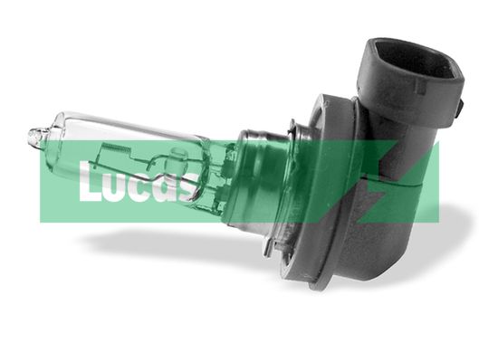 LUCAS Лампа накаливания, противотуманная фара LLB9005