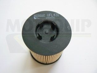 MOTAQUIP Масляный фильтр VFL431